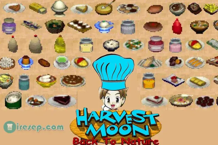 Resep Masakan Harvest Moon Back To Nature