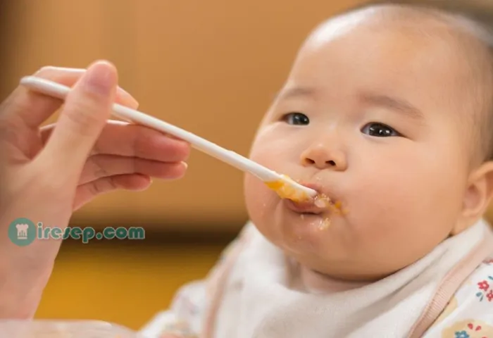 Resep Makanan Bayi 6 Bulan